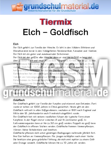Elch - Goldfisch.pdf